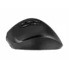 Gembird MUSW3-9B-01 Trójtrybowa Bezprzewodowa Mysz Ergonomiczna (2.4 GHz + Bluetooth + USB-C), 2400 DPI, 9 Przycisków, Czarna