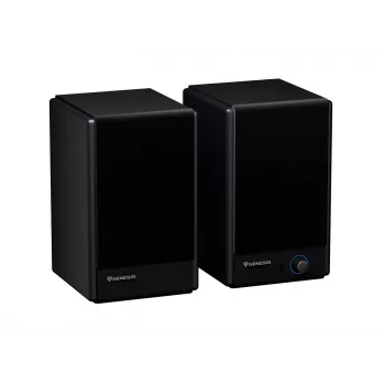 Genesis Arsen 402BT NGS-2415 głośniki biurkowe, 2.0, 60 W, Bluetooth 5.3, czarne