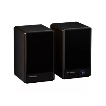 GENESIS ARSEN 402BT 2-drożne brązowe przewodowe i bezprzewodowe 60 W