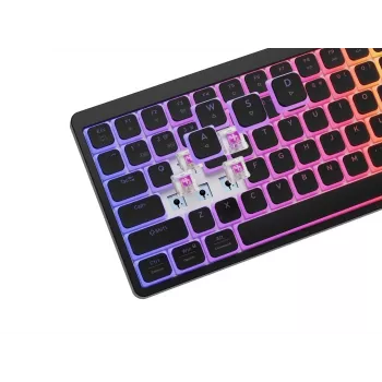 GENESIS Thor 430 TKL Bezprzewodowa mechaniczna klawiatura gamingowa, przełączniki Outemu Red, podświetlenie RGB, tryb potrójny (USB-C/2.4GHz/Bluetooth), układ US English QWERTY, czarna