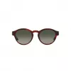 Okulary przeciwsłoneczne GIORGIO ARMANI dla kobiet AR8146-596271 Havana Acetate Green Gradient 50/15/145 mm
