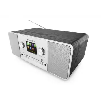 GoGen IR 257 BTDAB Radio internetowe cyfrowe Srebrny