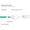 GoodConnections RNS® Cat. 6A S/FTP Przewód krosowy bezhalogenowy z zabezpieczeniem zatrzasku, 3 m, zielony
