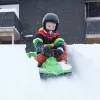 Hamax Sno Zebra Śniegowiec Zielony Polietylen