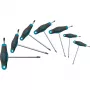 HAZET 829KKT/7 zestaw wkrętaków Torx T-Profile, 7-częściowy (T10-T40)