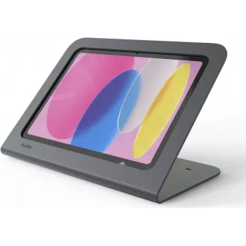 Heckler Design H750X-BG WindFall Stojak na tablet dla iPadów 9,7 cala, szary