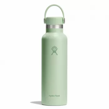 Hydro Flask 620 ml Standard Flex Cap 21 OZ Aloe