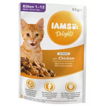 IAMS Delights Kitten Chicken in Gravy Mokra karma dla kociąt, 12 x 85g saszetek