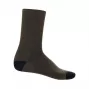 Icebreaker Merino Lifestyle Fine Gauge Crew Socks Men's Loden/Midnight Navy