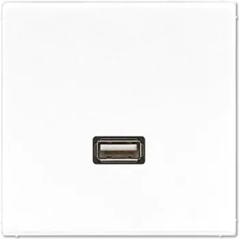 JUNG LS-Series Moduł przyłączeniowy USB 2.0, Alpine White (MALS1122WW)