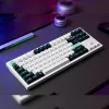 Keychron Q3 HE QMK 80% Bezprzewodowa niestandardowa klawiatura mechaniczna (przełącznik Nebula) - biała obudowa