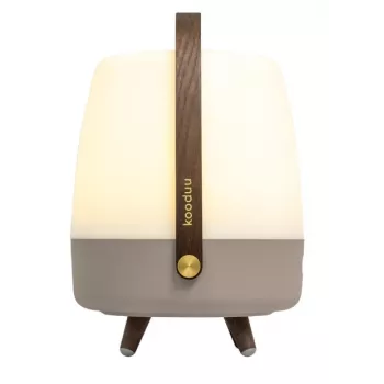 KOODUU Koody Lite-up Play 2.0 Earth LED Przenośna lampa z wbudowanym głośnikiem JBL