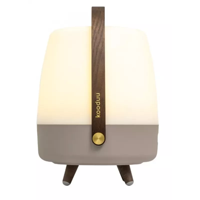 KOODUU Koody Lite-up Play 2.0 Earth LED Przenośna lampa z wbudowanym głośnikiem JBL