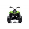 LEAN CARS Elektryczny Quad CAN-AM Renegate Zielony