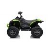 LEAN CARS Elektryczny Quad CAN-AM Renegate Zielony
