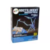 LEAN TOYS Zestaw Archeologiczny Wykopaliska Szkielet Dinozaura Pteranodon 3D Hologram