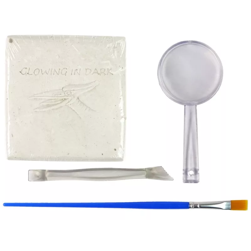 LEAN TOYS Zestaw Archeologiczny Wykopaliska Szkielet Dinozaura Pteranodon 3D Hologram