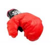 LEAN TOYS Big Boxer Set Dla Dzieci + Rękawice i Gruszka Bokserska