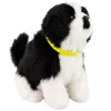LEAN TOYS Interaktywny Pluszowy Pies Miękkie Futro Rasa Border Collie