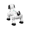 LEAN TOYS Interaktywny Zdalnie Sterowany Robot Piesek