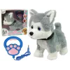 LEAN TOYS Pluszowy Pies Interaktywny Edukacyjna Smycz Piosenki Spacery