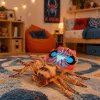 LEAN TOYS Spider Tarantula Rubber Figure Stretchable Realistic 12 cm