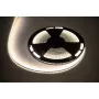Przewód LED 25m Rebel 300x5050 SMD Neutralna Biel Wodoodporny 12V