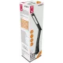 LED LENSER Avide LED Desk Lamp Business Claude Calendar Black 5W
