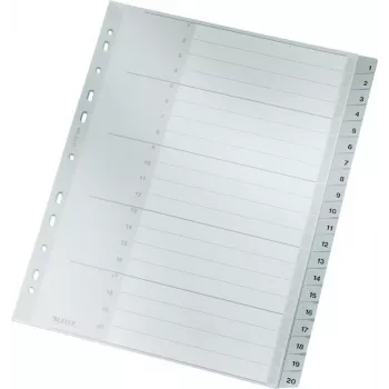 LEITZ 1284 A4 Extra Wide Numbered Index Dividers 1-20, szary, 20-częściowy, polipropylen, 0,12 mm, z zapisywalną kartą tytułową 1284-00