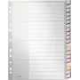 LEITZ A4 Extra Wide Blank Plastic Index Dividers, 20-Part, Universal Punching, Translucent White 1278-00-00
