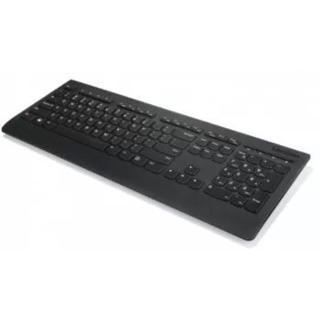 Lenovo Professional Wireless Keyboard 2.4 GHz QWERTZ Czarny