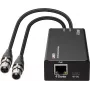 LINDY 2-kanałowy enkoder audio XLR na Dante, PoE, AES67, 24-bit/96kHz 70618