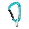 Mammut Mini Carabiner Classic Keylock S - Silver/Grey