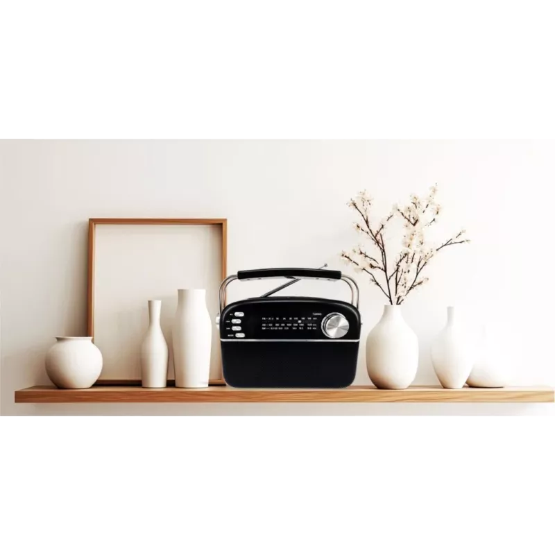 Manta RDI918B Przenośny odtwarzacz CD z radiem FM, odtwarzaniem MP3, wejściem USB i AUX, czarny