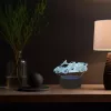 Manta SNL64RGB LED Lamp Light Decoration Car 3D RGB