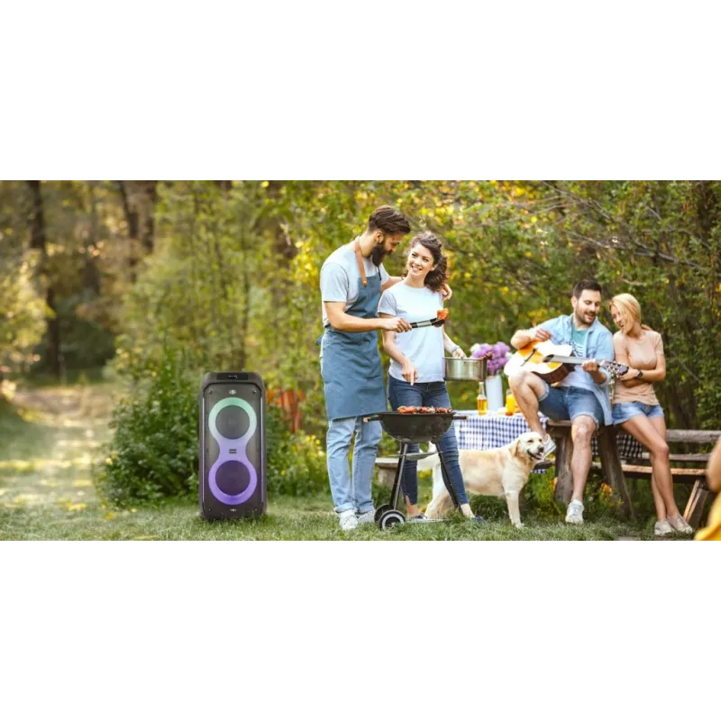 Manta SPK0805B140 Pallas Przenośny Głośnik Bluetooth, 15W, Czarny