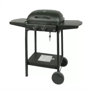 MASTER GRILL Grill gazowy Master 2-palnikowy MG672