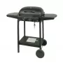MASTER GRILL Grill gazowy Master 2-palnikowy MG672