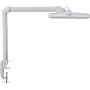 MAUL LED Lampa Biurkowa Intro Ściemniana z Uchwytem Zaciskowym Biała