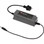 MEAN WELL OWA-60E-12 60W 12V 5A IP67 zamknięty zasilacz z wtyczką AC i kablem DC