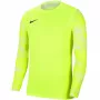 Nike Dry Park IV JSY LS GK Lime Bluza bramkarska CJ6066 702 L