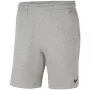 Nike Park 20 Spodenki męskie Ciemnoszary melanż XL