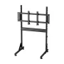 Oplite Nitrokart Monitor Stand V2 Czarny - Pojedynczy Stojak Podłogowy pod Monitor do Symulatorów Lotniczych i Wyścigowych, Maks. 49 cali, VESA 75x75 do 200x200, Regulacja Wysokości 700-1000mm, Pochylenie/Obrót/Rotacja, Stal