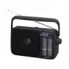Panasonic RF-2400DEG-K Przenośne analogowe radio AM/FM - czarny