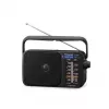 Panasonic RF-2400DEG-K Przenośne analogowe radio AM/FM - czarny