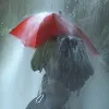 Parasol Euroschirm Birdiepal Outdoor - Czerwony