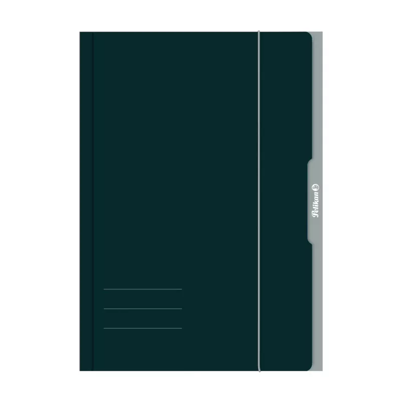 Pelikan 276856 Teczka obiegowa A3 Karton Zielony