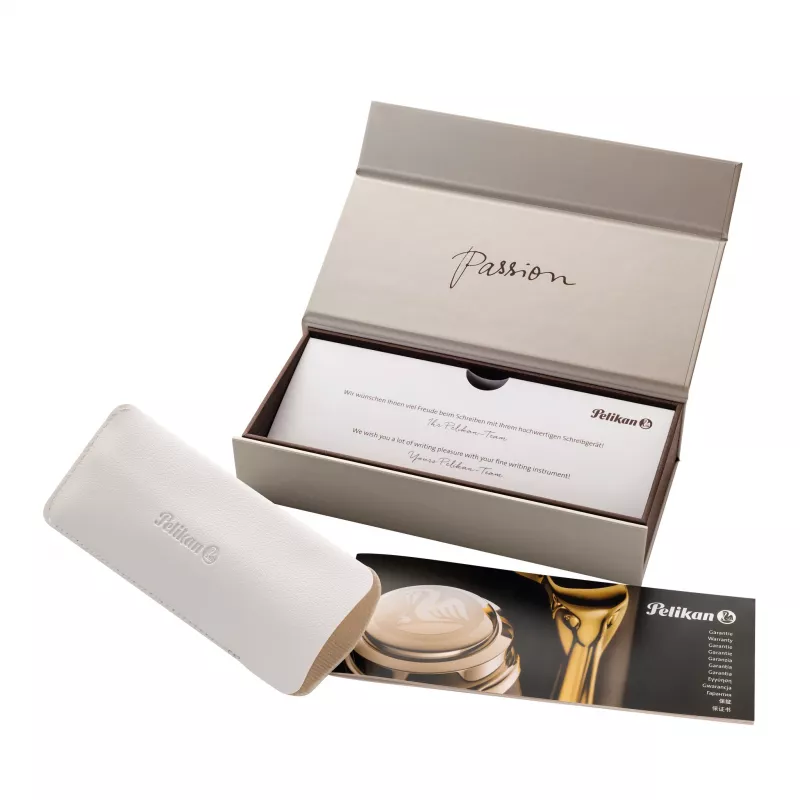 Pelikan M205 Fountain Pen - Czarny ze srebrnymi wykończeniami, stalówka średnia 971945