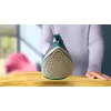 Philips DST2030/90 Żelazko parowe - 2000W, podeszwa nieprzywierająca, zbiornik 270ml