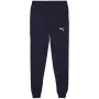 Puma Team Goal Casuals Męskie Spodnie Granatowe 658598 06 S